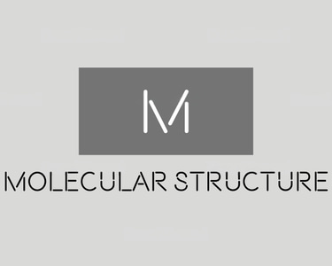 Molecular Structure logo