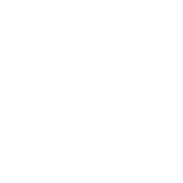 PRIMELINE CONSULTING logo