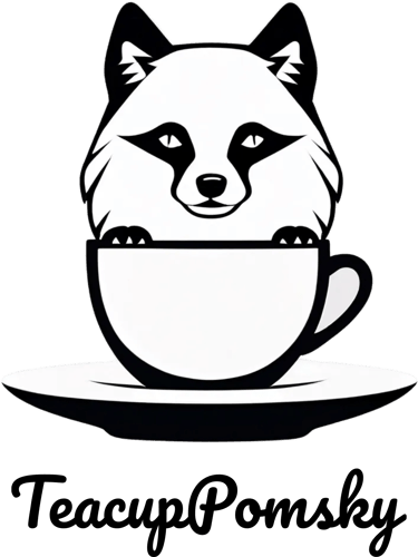 Teacup Pomsky de Lévis QC  logo