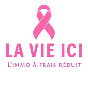 La vie ici immobilier logo