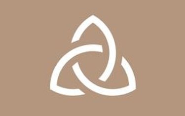 La vie ici immobilier logo