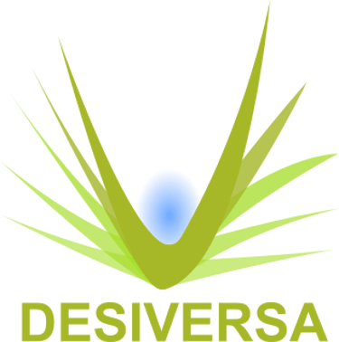 DESIVERSA logo