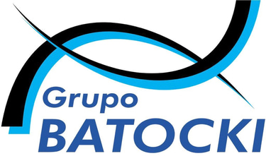Grupo Batocki logo