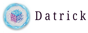 Data Team as a Service logo