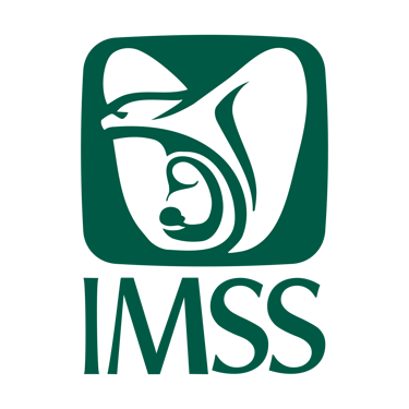 Bolsa Trabajo IMSS 2024  logo