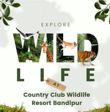 Country Club Wildlife Resort Bandipur logo