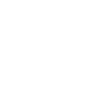swexler logo