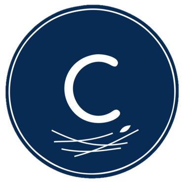CleanNest logo