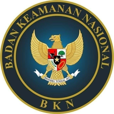 Nasional security agency logo