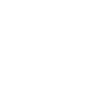 La Fiesta del Jetset logo