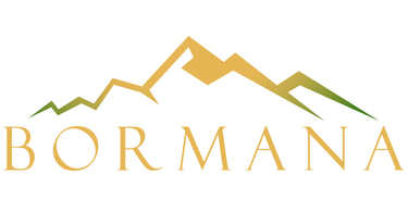 Bormana Solutions, LLC logo