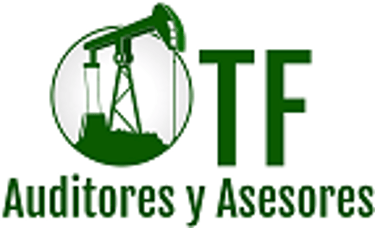 TF AUDITORES Y ASESORES LTDA BIC logo