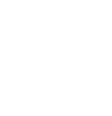 STTBF logo