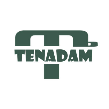 Tenadam Training Consultancy and Research PLC logo