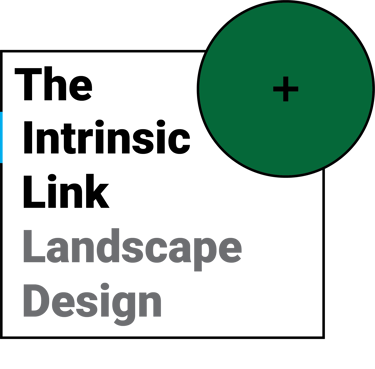 theintrinsiclink logo