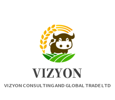 VIZYON CONSULTING AND GLOBAL TRADE LTD logo