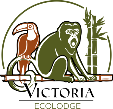 Victoria Ecolodge logo