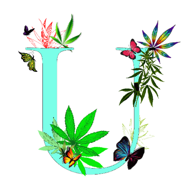 m effin university logo