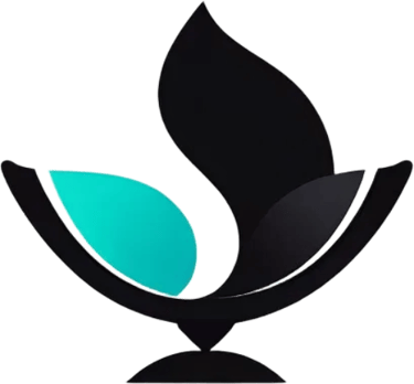 Precious Light Digital Solutions logo