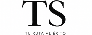 Towny Solucions logo