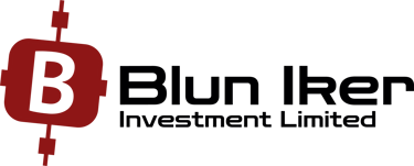 Blun Iker Investment Limited logo