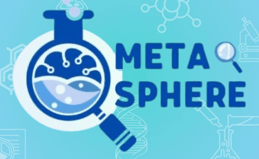 MetaSphere logo
