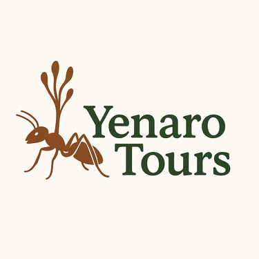 Yenarotours logo