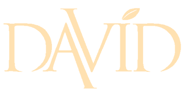 DAVID logo