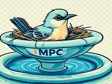 Mockingbird Pool Co. logo