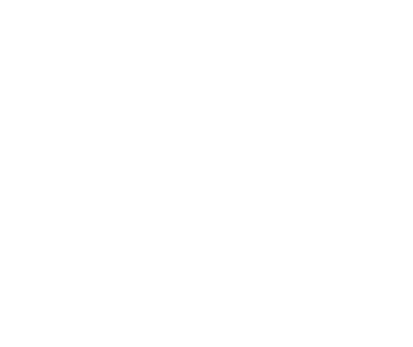 Somni Fortuna logo