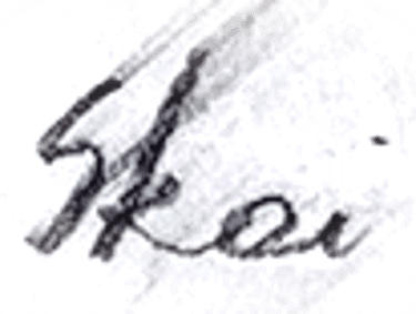 Skaistė Verdingytė logo