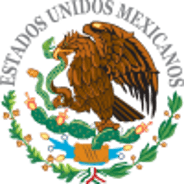 H. AYUNTAMIENTO CONSTITUCIONAL DE DE SAN JERONIMO SOSOLA logo