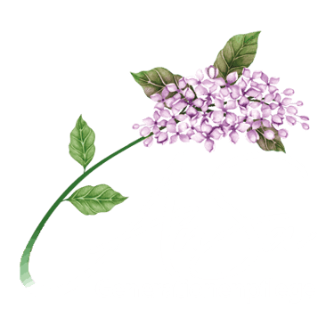 Ansa Generationspflege logo