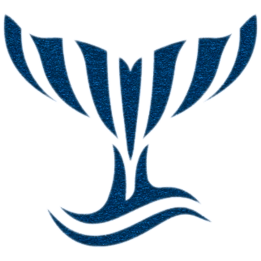 Raze Brazil logo