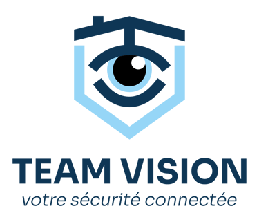 TeamVision logo