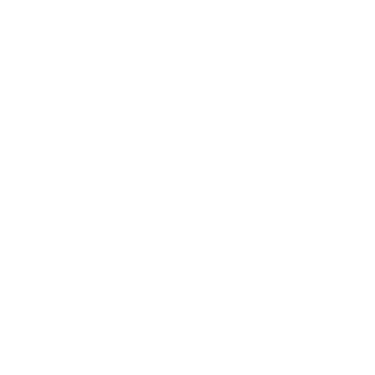 Megarun logo
