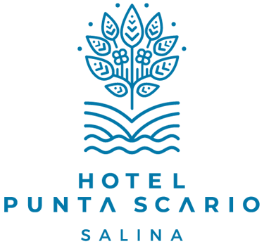Hotel Punta Scario logo