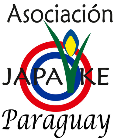 Japaykeparaguay logo