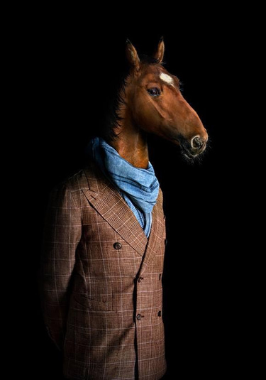 etude de croisement de lingne de sang pour chevaux de galop logo
