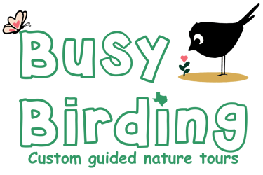 Busy Birding logo