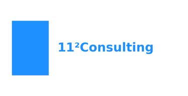 11SquaredConsulting logo