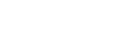 Indesap logo