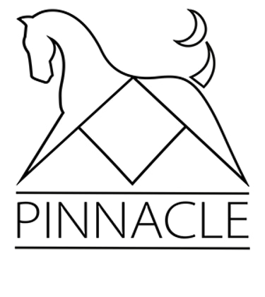 Pinnacle Woodworking & Design logo