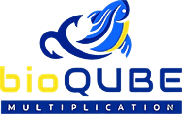 bioQUBE Biosolutions logo