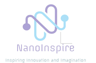 Nanoinspire India Pvt Ltd logo