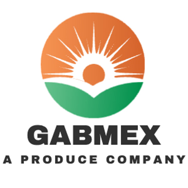 GABMEX logo