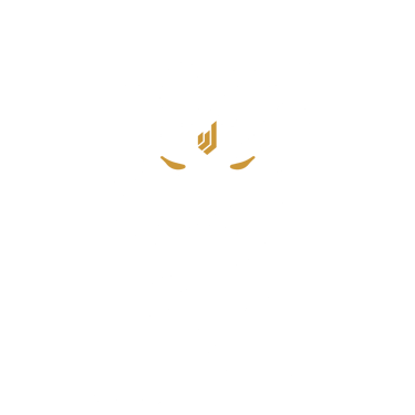 Achilles - Warrior Systems Elite logo