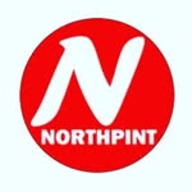 NORTHPINT PINTURA E JATEAMENTO LTDA logo