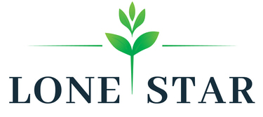 Lone Star Strategic Ventures logo