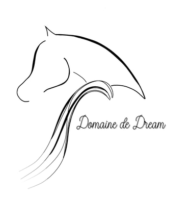Domaine de Dream logo